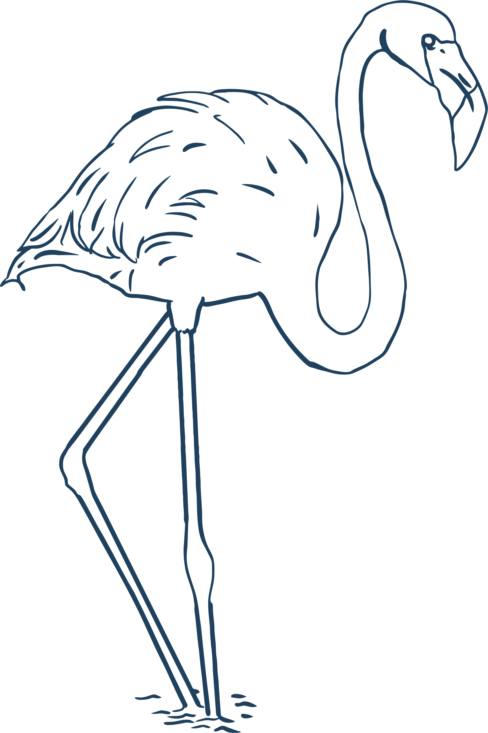Flamenco Flamenco